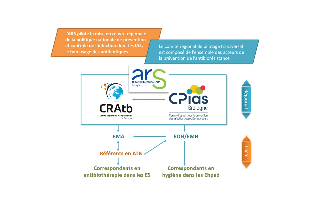 Organisation CRAtb-CPias-ARS